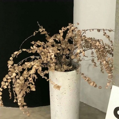 鸡西FurryQQ群介绍